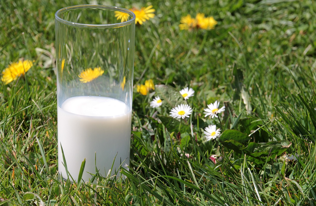 Colostrum
