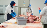 Meat processing industry – what machines are necessary?